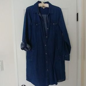 Banana Republic Denim Dress